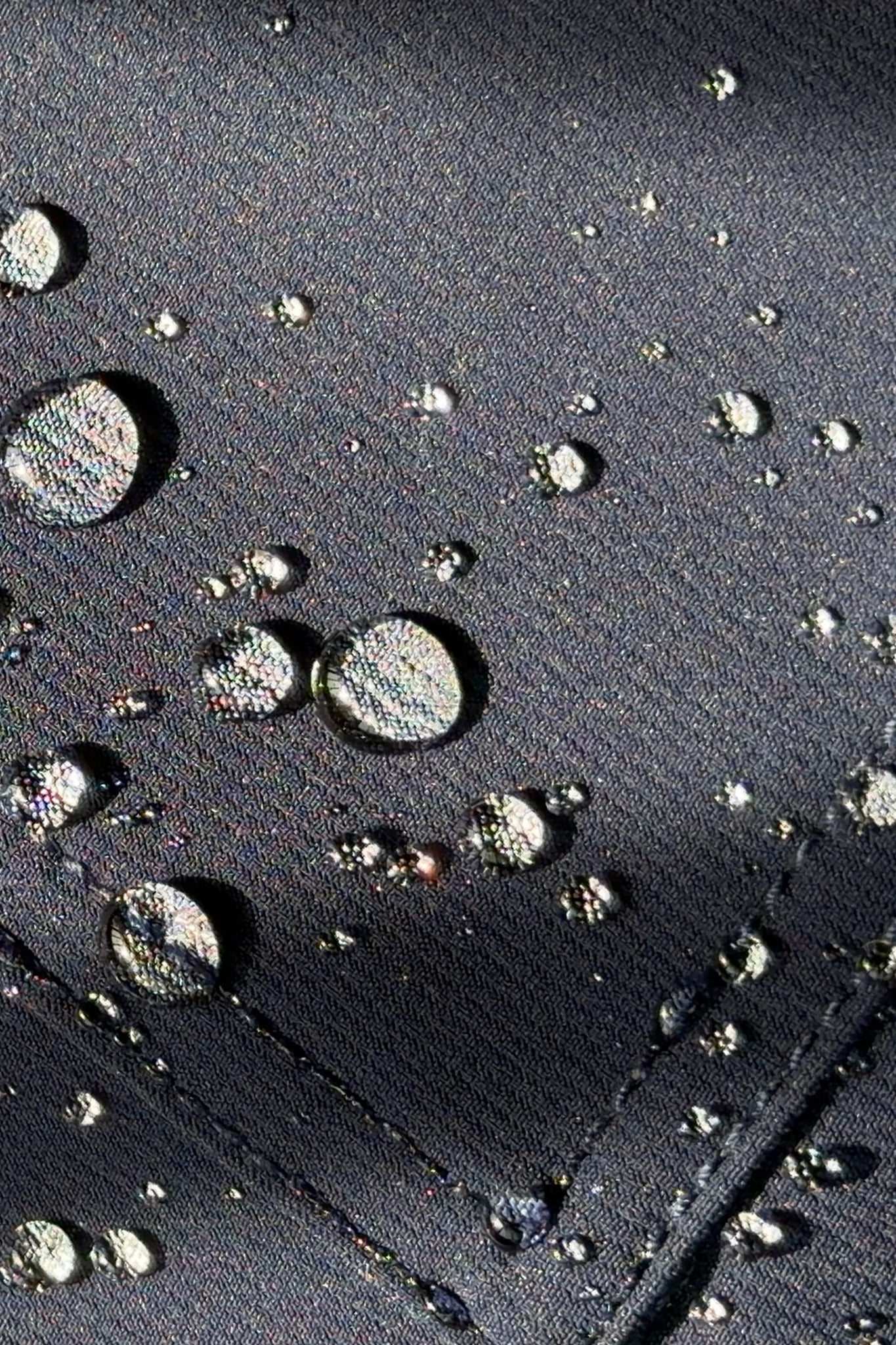 THE EDITH PANT